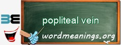 WordMeaning blackboard for popliteal vein